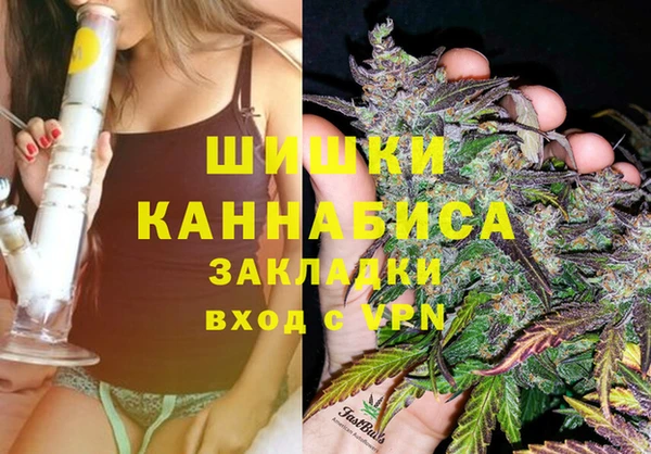 кокс Вяземский