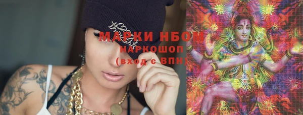 гашик Горняк
